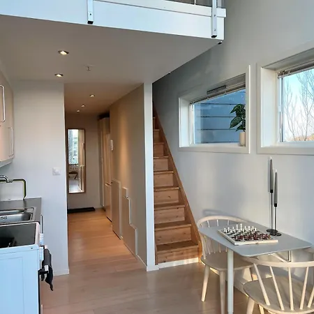 Διαμέρισμα Penthouse In Center Στάβανγκερ