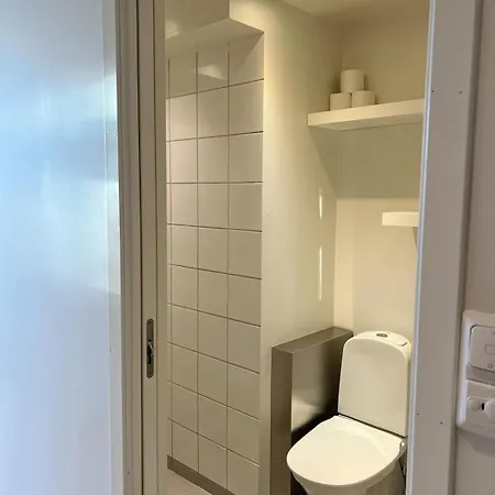 Apartamento Penthouse In Center