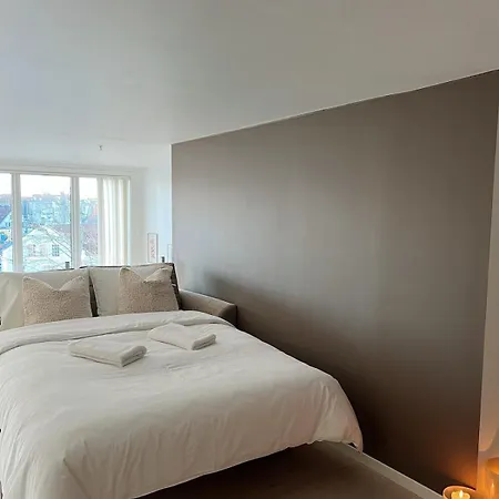 Apartamento Penthouse In Center *